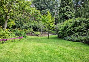 Optimiser l'expérience du jardin à Miremont